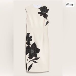 Ann Taylor Elegant Black and Cream Floral Dress